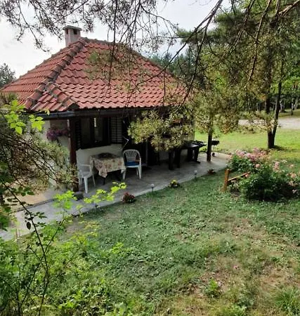 Zahej